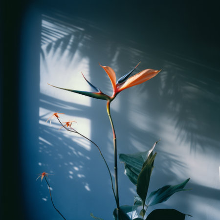 a bird of paradise flower, captured in a stunning photograph, showcases the juxtaposition of light and shadow. this atmospheric installation, taken with a graflex speed graphic camera, embodies the principles of bauhaus photography. the uhd image beautifully captures the vibrant colors of the flower, with hints of light navy and light green, creating a mesmerizing and light-filled composition. ai generatedの素材