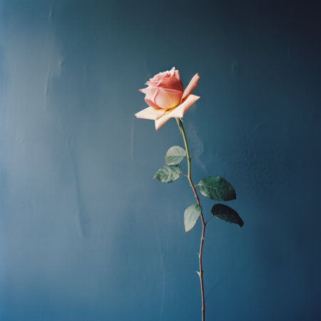 a single red rose on a stem stands gracefully in front of a vibrant blue wall, creating a striking contrast. the photo, captured in the style of light pink and dark gray, using kodak portra film, evokes an emotional narrative. this surreal still life showcases the delicate beauty of the rose, while the light pink and amber tones add a touch of warmth. the dignifiedの素材