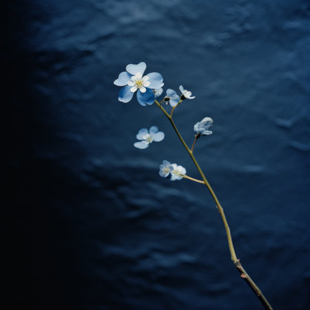 a small plant with blue flowers is captured in this dark and moody still life photograph. the cherry blossoms add a touch of delicate beauty to the composition. shot with a 20-megapixel camera, the image showcases linear simplicity and a hyper-realistic depiction of water. this national geographic photo captures a precarious balance between fragility and strength. ai generatedの素材