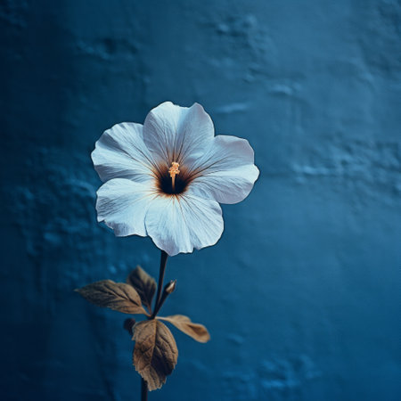 a plant with white flower stands out against a blue wall, creating a striking contrast. the dark and foreboding color scheme adds a sense of mystery to the image. captured with a tokina at-x 11-16mm f/2.8 pro dx ii lens, the photo showcases vibrant colors in light beige and aquamarine. the use of photo-realistic techniques enhances the bold and zen-inspired composition. ai generatedの素材