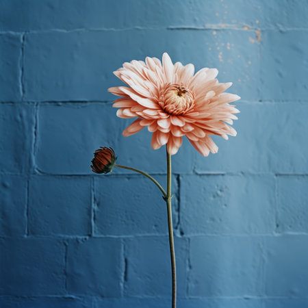 a daisy, with a single flower, sits in a vase against a vibrant blue wall. the photograph captures a humorous tone, with a mix of light brown and pink hues. the industrial photography style adds an unpolished authenticity to the image. the selective focus highlights the site-specific installations, showcasing the essence of australian tonalism. ai generatedの素材