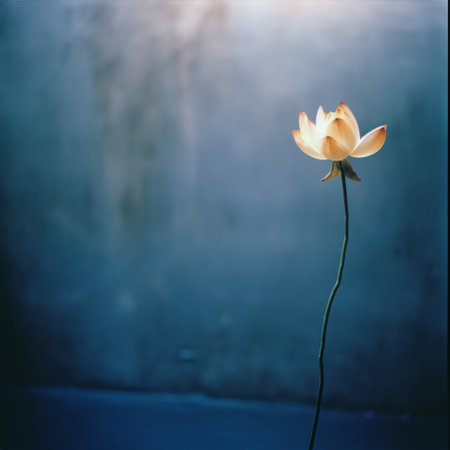 lotus flower photo featuring a stunning blue wall backdrop. captured with a graflex speed graphic camera, the image showcases a blend of light gray and amber tones. shot on kodak portra film, the photo exudes an otherworldly realism. the soft and atmospheric lighting adds to the ethereal beauty of this flickr masterpiece, reminiscent of the mote kei style. ai generatedの素材