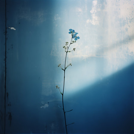 a small white flower delicately blooms on a wall, surrounded by a captivating blend of dark sky-blue and aquamarine hues. captured with a mamiya rb67 camera, this photograph showcases the artistry of environmental portraiture, skillfully playing with light and shadow. with influences from industrial and japanese photography, it presents a poetic vision that is both captivating and evocative. ai generatedの素材