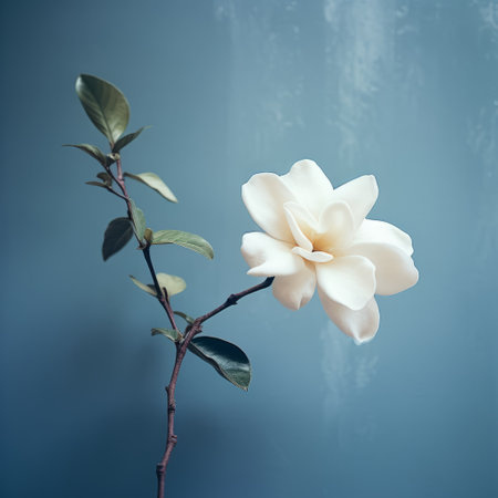 white flower resting on green leaves, contrasting beautifully against a brown wall. this minimalist composition, inspired by oriental aesthetics, showcases the artistry of new american color photography. the graceful curves of the flower are enhanced by a colorized effect, creating a soft mist-like atmosphere. captured with a leica r3 camera. ai generatedの素材