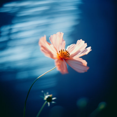 a pink flower blooms against a vibrant blue sky, captured with a graflex speed graphic camera. the image showcases a beautiful contrast between light yellow and dark orange hues, while playing with the interplay of light and shadow. taken with a tokina at-x 11-16mm f/2.8 pro dx ii lens, the photograph exudes a soft and dreamy atmosphere, highlighting nature-inspired shapes in a minimalistic japanese style.の素材