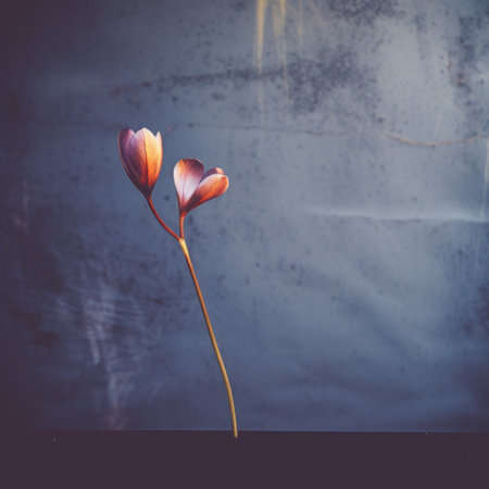 a vase filled with vibrant flowers is placed in front of a clean white background. this dark and moody still life photograph showcases bold and dramatic forms, with a touch of romantic graffiti. the cross processing technique adds a unique touch, enhancing the dark purple and light orange tones. captured with a 35mm lens, this matte photo exudes a captivating and artistic vibe. ai generatedの素材