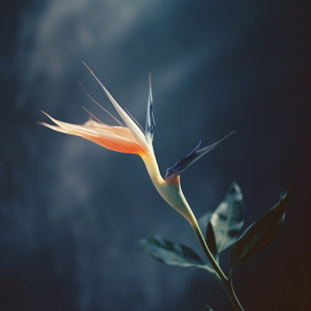 a blurry analog photograph captures the essence of a single bird of paradise against a dark blue wall. the image exudes a vintage analog vibe with its film grain texture. soft natural evening light adds a touch of serenity to the scene. ai generatedの素材