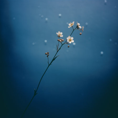 a stem with a flower inside, captured in the style of alessio albi, showcases a dark sky-blue and light white color palette. water drops gracefully fall, adding a touch of elegance. influenced by ancient chinese art, this photograph features sparse backgrounds reminiscent of makoto shinkai's work, creating a captivating wimmelbilder-like composition. ai generatedの素材