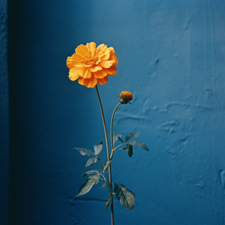a vibrant stage backdrop featuring a little flower in a minimalist conceptual style. the dark sky-blue and light orange hues of the flower create a strong sense of realism. captured on kodak portra film, this photograph explores urban culture through its frequent use of yellow. ai generatedの素材