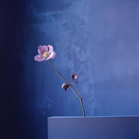 a black and white portrait of a plant in a glass vase, showcasing the minimalist style of dark azure and pink. this photo captures the essence of japanese minimalism and is reminiscent of the kodak portra film. the dark sky-blue and light violet hues add a touch of elegance, while the composition reflects the concept of asymmetric balance seen in eastern zhou dynasty art. aの素材
