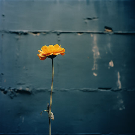 a flower stands gracefully in front of a cement wall, captured with the vibrant tones of kodak gold 200 film. the image showcases a beautiful contrast between dark aquamarine and yellow hues. shot with a samyang 14mm f2.8 if ed umc aspherical lens, the composition exudes a unique blend of dark silver and light orange tones. this photograph is inspired by found objects and reflectsの素材