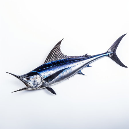 blue marlin fish isolated on white background stock photo. this realistic still life captures the dramatic lighting and details of the fish. the image features welded sculptures and has a high-resolution quality (uhd). the cross processing technique adds a unique touch, while the birds-eye-view perspective enhances the representational aspect. ai generatedの素材