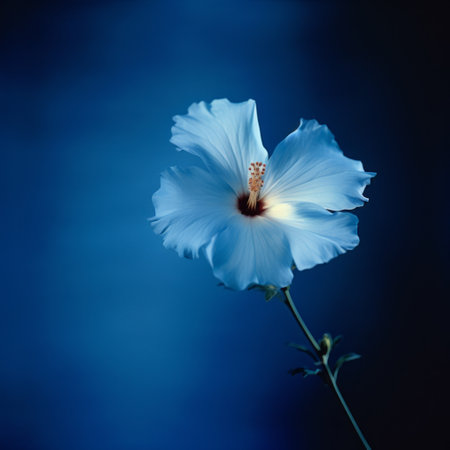 a blue flower, reminiscent of the style of caras ionut, is beautifully arranged in a bouquet against a captivating blue background. the image, captured with a helios 44-2 58mm f2 lens, exudes a graceful balance. inspired by the works of cicely mary barker, the photo showcases a delicate play of light, with hints of white and light amber. this stunning composition could easily grace theの素材