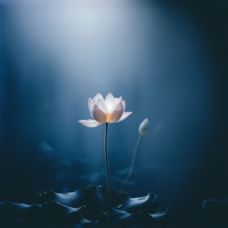 a single white lotus flower blooms gracefully amidst a sea of lush green leaves. the ethereal minimalism of this photo is enhanced by the dark sky-blue and light pink color palette. moody lighting adds a touch of mystery to the scene. captured with a minolta riva mini, the light silver and gold tones create a serene atmosphere. the composition is reminiscent of serene faces andの素材