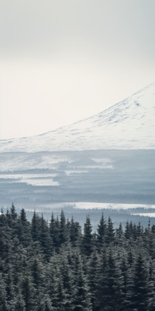 a mesmerizing photo of a forest in iceland, captured along the fjaerlandsfjord road to the kamet. the image showcases a snowy mountain in the background, creating a serene and picturesque scene. the minimalist typography and symmetrical arrangement add a touch of elegance, reminiscent of the grand budapest hotel-esque style. the embroidered handkerchiefs and gothic horror grandeur elements further enhance the visual appeal of this captivatingの素材