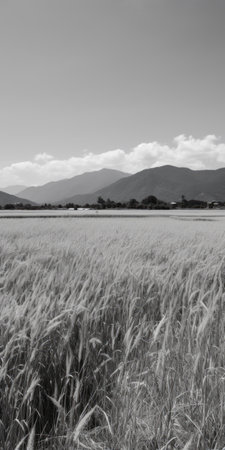 a serene grassland with a rice paddy stretches towards the distant mountains under a clear blue sky. captured in black and white, the soft light enhances the low saturation, creating a captivating landscape. this 8k detailed photograph showcases the beauty of a forested area in japan, while the film sense portrait adds a touch of artistic flair. ai generatedの素材