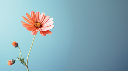 a single pink flower stands out against a vibrant blue background, creating a minimalist composition. the light turquoise and dark orange hues add depth and contrast to the image. rendered with vray tracing, the flower appears realistic, showcasing the beauty of mundane materials. this whimsical subject matter captivates with its stunning simplicity. ai generatedの素材