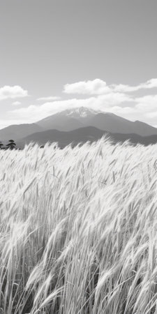 wheat growing in a field, captured in a black and white image reminiscent of edogawa ranpo's style. the mountainous vistas and soft color blending create a captivating scene, reminiscent of a national geographic photo. this high-quality kubisi art photograph showcases the beauty of nature and the tranquility of the countryside. ai generatedの素材
