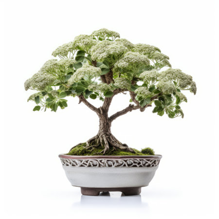 yarrow bonsai tree with vibrant green leaves, isolated on a clean white background. perfect for botanical websites, plant enthusiasts, and gardening blogs. displaying intricate details and delicate features, this yarrow bonsai adds a touch of nature to any design or project. ai generatedの素材