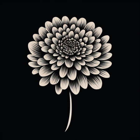 a white flower stands out against a striking black background in this linear illustration. inspired by chiaroscuro woodcuts, the dark black and dark beige tones create a captivating contrast. the highly detailed and minimalist style of the graphic illustration showcases the artist's skill and hyperbolic expression. ai generatedの素材