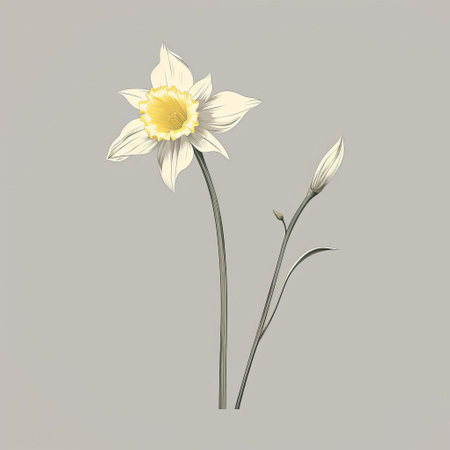 white daffodil flower isolated on beige background vector illustration, in the style of charles tunnicliffe. light yellow and dark gray hues create a captivating contrast. inspired by matthias jung's enamel art, this classic still-life captures the simplicity and charm of cicely mary barker's floral illustrations. ai generatedの素材