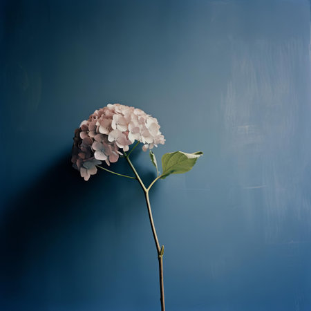 a soft-lit hydrangea blooms blurrily frame the darkness of a deep blue wall in this vintage analog photograph. the subtle film grain and warm evening light create a nostalgic and atmospheric vibe. ai generatedの素材
