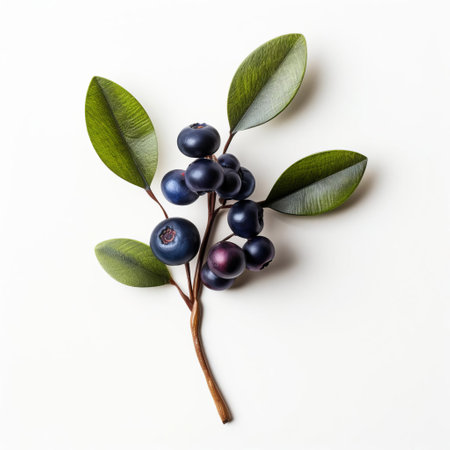 the handmade wood bilberry, showcased on a pristine white background, reveals its intricate details and natural beauty, highlighting the craftsmanship of woodworking and the rustic charm of wooden decorations, perfect for home decor and interior design enthusiasts. ai generatedの素材