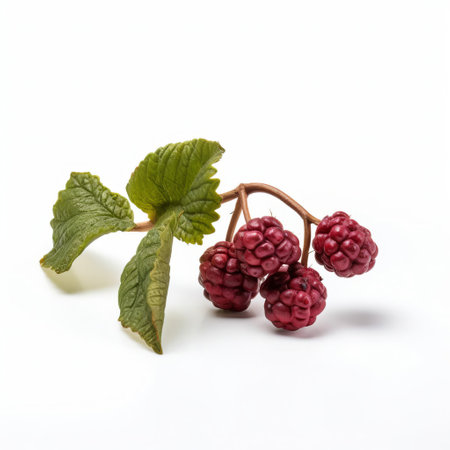 the mulberry, a stunning example of handmade wood craftsmanship, sits proudly on a crisp white background, showcasing its intricate details and natural beauty, perfect for woodworking enthusiasts, wood carvings, and nature-inspired home decor enthusiasts seeking unique wooden decorations. ai generatedの素材