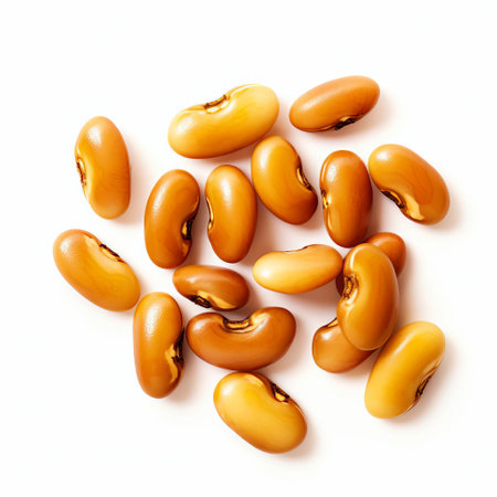 yam beans, in the style of alex prager, johannes itten, and nobuo sekine from the 1970s, are captured in this photo. isolated on a white background, the yam beans appear smooth and shiny. the image reflects the influence of mingei, with a frequent use of yellow. ai generatedの素材