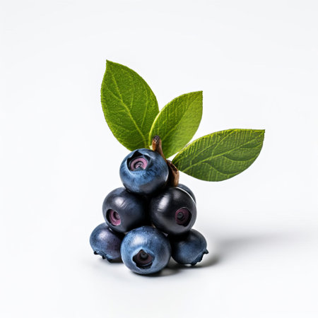 the handmade wood bilberry, showcased on a pristine white background, reveals its intricate details and natural beauty, highlighting the craftsmanship of woodworking artisans who carefully shape and polish each piece to create unique decorative items for home decor and rustic furniture enthusiasts. ai generatedの素材
