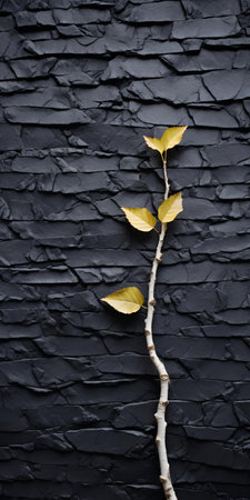 this majestic birch tree, photographed in the style of tabletop photography, stands tall on a bed of black shingle, showcasing visually tactile surfaces that evoke a sense of sustainable design, captured with a voigtlander bessa r2m camera, featuring dark gray and black hues with a soft focus effect. ai generatedの素材