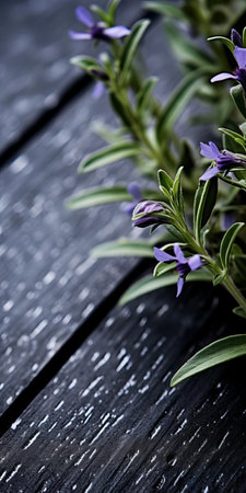 lobelia, a delicate flowering plant, thrives on black shingle in this intimate tabletop photography setting, evoking a sense of tactile surfaces and sustainable design, captured with a voigtlander bessa r2m camera, featuring dark gray and black hues, and a soft focus that invites contemplation. ai generatedの素材