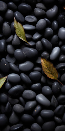 the castor bean, a striking plant with large, palmate leaves, is beautifully showcased on a bed of dark gray and black shingle, evoking a sense of sustainable design, in this stunning tabletop photography image captured with a voigtlander bessa r2m camera, featuring soft focus and visually tactile surfaces. ai generatedの素材