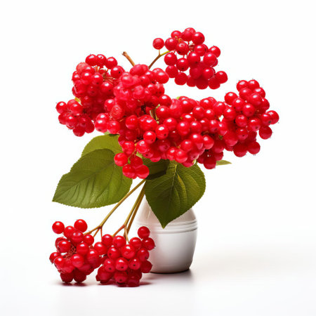 the viburnum berries are elegantly placed on a pristine white table, showcasing their vibrant colors and intricate details, captured in stunning high-resolution 8k quality, perfect for commercial photography, offering a realistic and hyper-realistic visual experience. ai generatedの素材