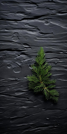 this majestic cypress tree grows serenely on black shingle, evoking a sense of sustainable design and visually tactile surfaces, captured in stunning detail using a voigtlander bessa r2m camera, with a soft focus that adds to the dark gray and black tones, reminiscent of a serene tabletop photography setup. ai generatedの素材