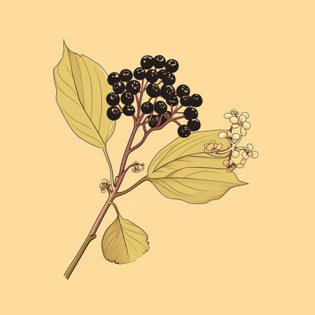 elderberry takes center stage in this stunning minimalist design, set against a soft light yellow background that subtly shines with gentle pastel hues, evoking a sense of serenity and calmness, perfect for nature-inspired home decor, botanical art, and wellness enthusiasts. ai generatedの素材