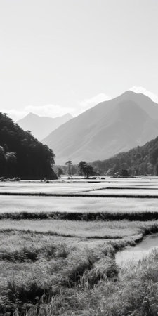 the serene woodland scene unfolds with a tranquil rice paddy in the foreground, set against a stunning backdrop of distant mountains, all under a brilliant blue sky, captured in exquisite black and white photography with low saturation, evoking a sense of rustic japan, with 8k details that transport you to a film sense portrait of nature's harmony. ai generatedの素材