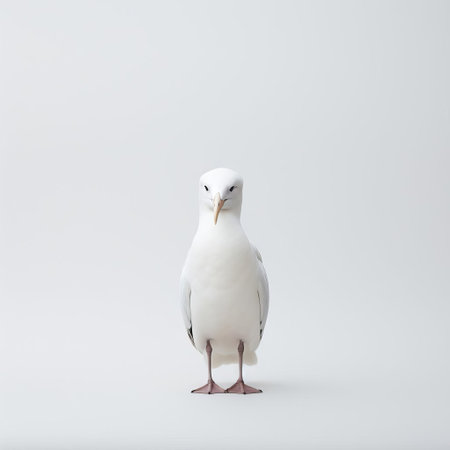 the albatross, perched on a rocky outcropping, is captured in stunning 32k resolution, showcasing the serene beauty of japanese minimalism in this exquisite photograph, where simplicity and elegance converge, highlighting the majestic bird's gentle gaze and soft, feathery plumage. ai generatedの素材
