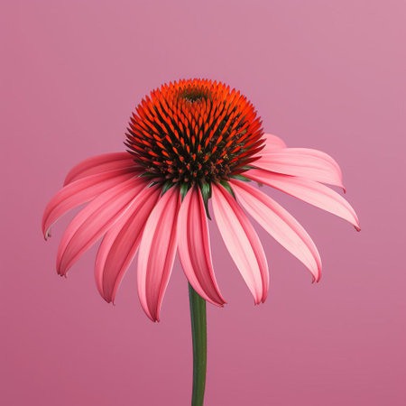 echinacea, a vibrant purple coneflower, stands out against a solid background in this highly detailed, lifelike representation, showcasing its intricate textures and delicate petals, captured in a frontal view reminiscent of a micro photograph, highlighting its natural beauty and medicinal properties. ai generatedの素材