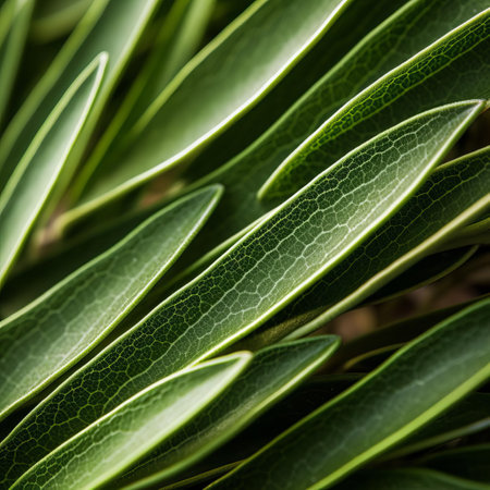 rosemary leaf unfurls in an exquisite close-up, showcasing its delicate, organic contours in stunning ultra-high definition, evoking a sense of tactile connection to nature, reminiscent of national geographic's iconic environmentalism photography, highlighting the intricate beauty of the natural world. ai generatedの素材