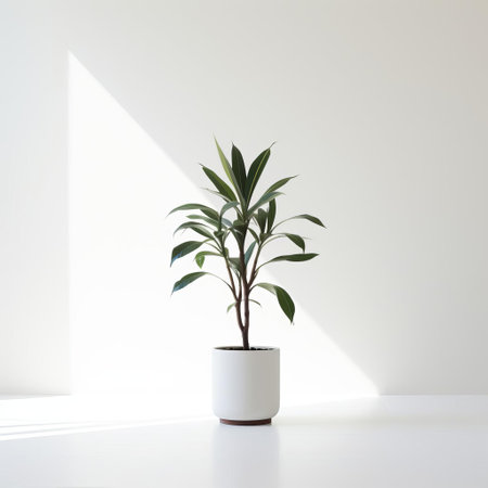 the plant stands out against a simplistic white background, showcasing its delicate green leaves and slender stems in a beautiful display of natural elegance, perfect for nature lovers and photography enthusiasts alike, highlighting the beauty of minimalist botanical photography. ai generatedの素材