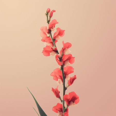 the snapdragon flower stands out against a simple, minimal, and vintage-inspired background, showcasing its delicate petals and subtle color palette, evoking a sense of nostalgia and elegance, perfect for nature lovers and fans of understated beauty. ai generatedの素材
