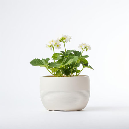 the flowerpot, adorned with intricate patterns, sits elegantly against a pristine white background, showcasing its ceramic beauty and perfect for holding a bouquet of fresh flowers, adding a touch of elegance to any home decor or outdoor setting, ideal for gardening enthusiasts. ai generatedの素材