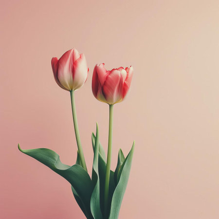 the tulip, a timeless and elegant flower, takes center stage against a simple, minimal, and vintage-inspired background, evoking a sense of classic charm and sophistication, perfect for adding a touch of nostalgia and understated beauty to any design or decor. ai generatedの素材