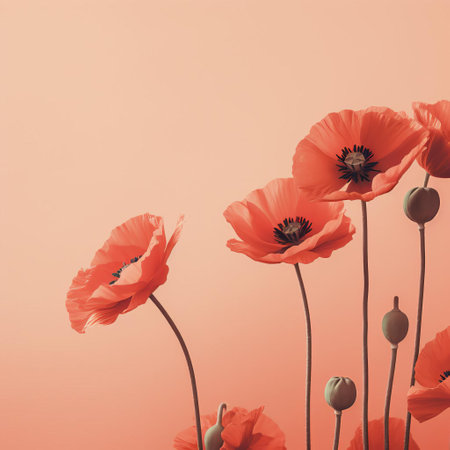 the poppy flower stands out against a simple, minimal, and vintage-inspired background, evoking a sense of nostalgia and elegance, perfect for adding a touch of classic charm to any design or decor, with its soft colors and delicate petals exuding a sense of understated beauty. ai generatedの素材