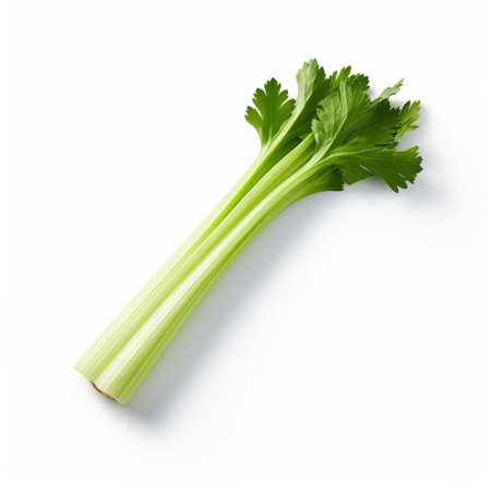 celery stands alone on a pristine white background, its vibrant green stalks and delicate leaves showcasing its crunchy freshness, perfect for adding a healthy crunch to salads, soups, and snacks, while also providing a pop of color to any culinary creation. ai generatedの素材