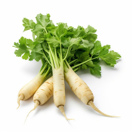 parsnip greens, a nutritious and delicious addition to salads, sit isolated on a pristine white background, showcasing their vibrant green color and delicate leaf structure, perfect for cooking, garnishing, or adding a pop of freshness to any dish, highlighting their versatility in healthy recipes. ai generatedの素材