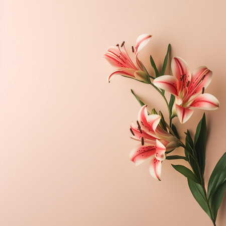 alstroemeria flowers bloom beautifully against a simple, minimal, and vintage-inspired background, evoking a sense of timeless elegance and sophistication, perfect for adding a touch of understated charm to any space or design, with their delicate petals and subtle colors. ai generatedの素材