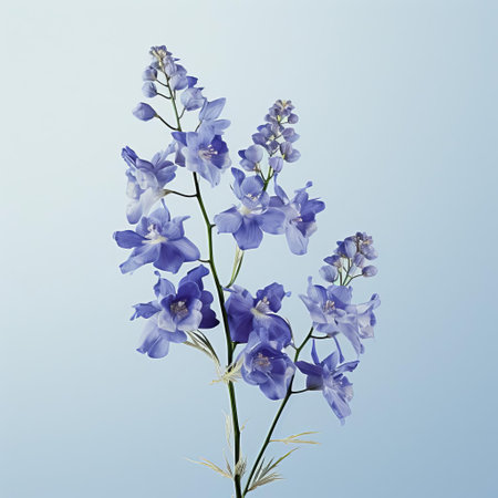 delphinium flowers stand tall against a soft, muted background, evoking a sense of simplicity and minimalism, reminiscent of a bygone era, with their delicate purple petals and slender stems, creating a charming vintage aesthetic perfect for rustic and country-inspired designs. ai generatedの素材