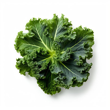 kale, a nutritious leafy green superfood, is showcased in this high-quality close-up photograph, captured from a top view against a clean white background, highlighting its vibrant green color and delicate curly leaves, perfect for healthy eating and culinary inspiration. ai generatedの素材